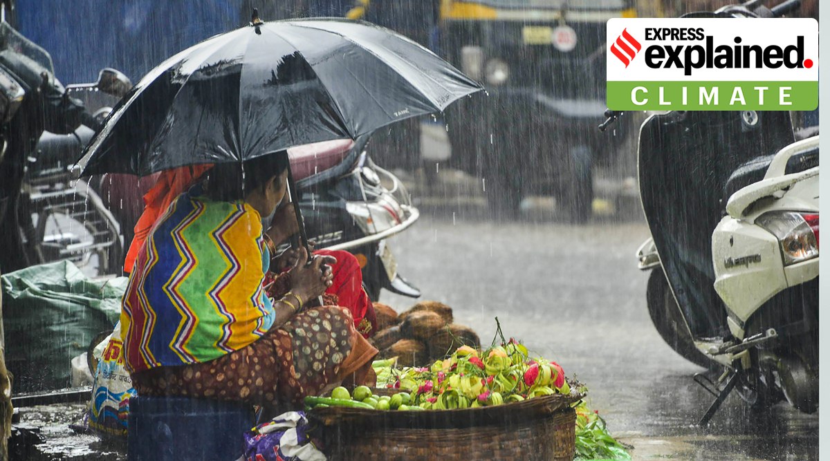 A tribal woman sitting on a footpath sells flowers amid monsoon rain, at Jagdalpur in Bastar district, Friday, Aug. 19, 2022. (PTI Photo)