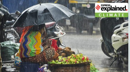 A tribal woman sitting on a footpath sells flowers amid monsoon rain, at Jagdalpur in Bastar district, Friday, Aug. 19, 2022. (PTI Photo)