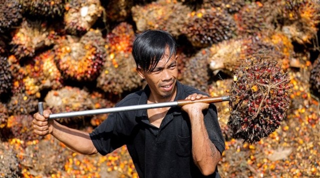 "India has been aggressively buying palm oil from Indonesia since prices are attractive and festival demand is approaching," said Sandeep Bajoria, the chief executive of vegetable oil brokerage and consultancy Sunvin Group. (Source: Reuters)