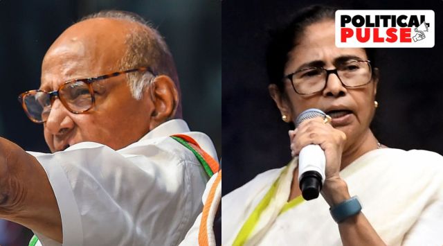 Sharad Pawar and Mamata Banerjee (PTI Photos)
