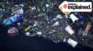 New research: The tiniest specks of plastic can enter the human food chain