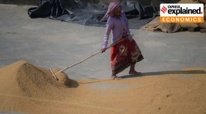What government curbs on exporting rice mean for India and the world