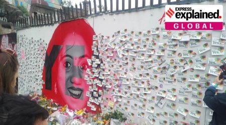 A mural outside the Bernard Shaw Pub in Portobello, Dublin depicting Savita Halappanavar and calling for a Yes vote in Ireland's referendum on repealing the Eighth Amendment. (Source: Wikimedia Commons)
