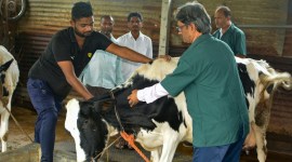 gujarat news, gujarat high court, ahmedbad municipal corporation, indian express