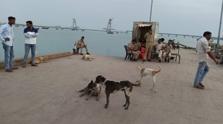 The jetty in Bet Dwarka was unusually silent as were the streets, which would otherwise be bustling with pilgrims. Looming over the island were JCBs flattening down homes, and religious structures into heaps of limestone. (Express photo by Gopal Kateshiya)