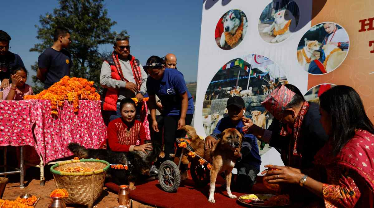 Dogs get their day at Hindu festival dedicated to them in Nepal World