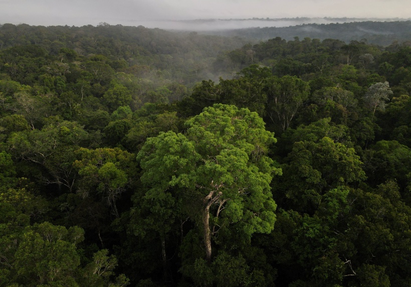 In Bolsonaro's Brazil, a Showdown Over  Rainforest