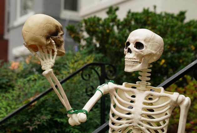 Halloween decorations