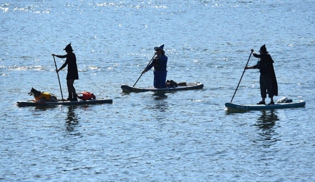Witch and Warlock Paddle Tennessee