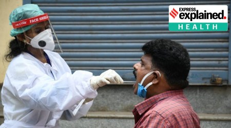 In India, BA.4 and BA.5 sub-variants never became the dominant variants. At present, BA.2.75 continues to cause most of the infections. (File Photo)