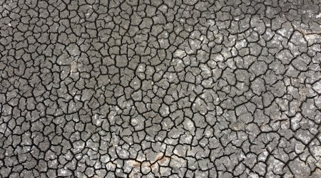Cracked earth is visible at a dry lake bed near the village of Conoplja, 150 kilometers northwest of Belgrade, Serbia, Aug. 9, 2022. (AP/File)
