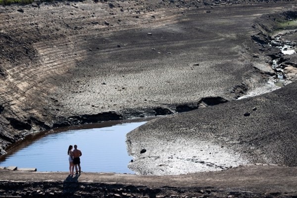 El cambio climático hizo que el verano fuera más cálido y seco en todo el mundo, según un estudio