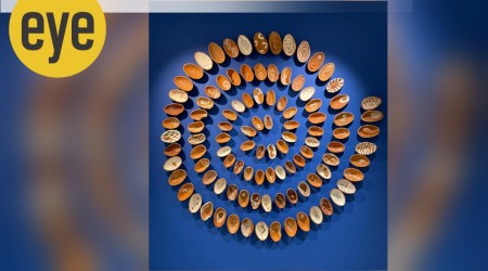 exhibition 'Journeys of Clay and Fire', ceramic exhibition, traditional pottery, conceptual art, clay art, ceramicists, British Council, clay urban and rural landscape, eye 2022, sunday eye, indian express news