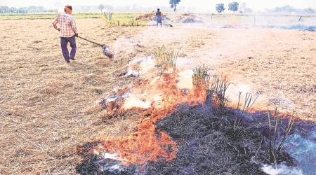 Punjab Pollution Control Board has imposed Rs 4.92 lakh as fine for stubble burning. Express