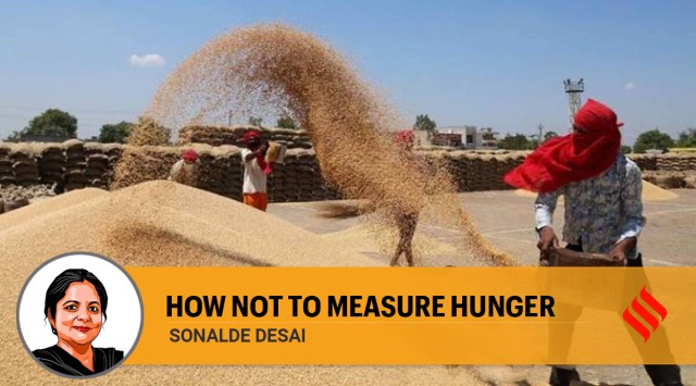 In a way, this episode illustrates the concern that Amartya Sen, one of the principal consultants to the Human Development Report, 1990, expressed. He has argued that concentrating too much on the Human Development Index or any other index would be a great mistake. (Express Archive)