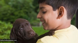 children, mental boost in children, children and pets, advantages of having pets, pets and kids, emotional support to kids, pets, indian express news