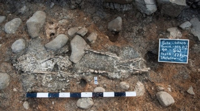 The skeletons and artefacts were unearthed at an ancient burial site in Nagpur's Gorewada forest.