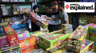 green crackers news, festival, air quality news, indian express