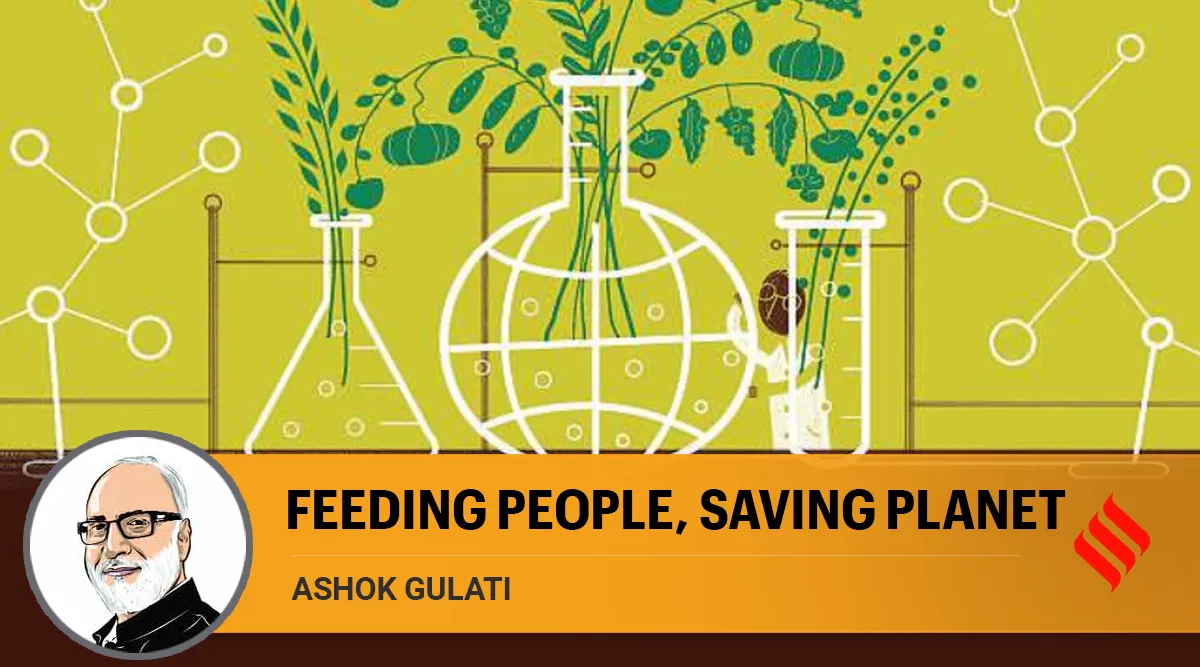 Ashok Gulati writes: Balancing climate change and global nutrition - The Indian Express