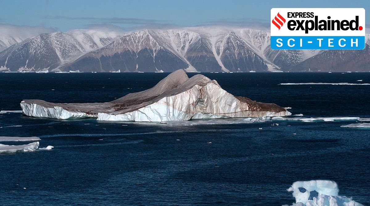 What ‘viral spillover risk’ means, and how it could lead to new