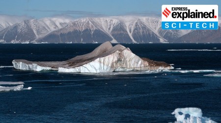 Icebergs in the High Arctic.