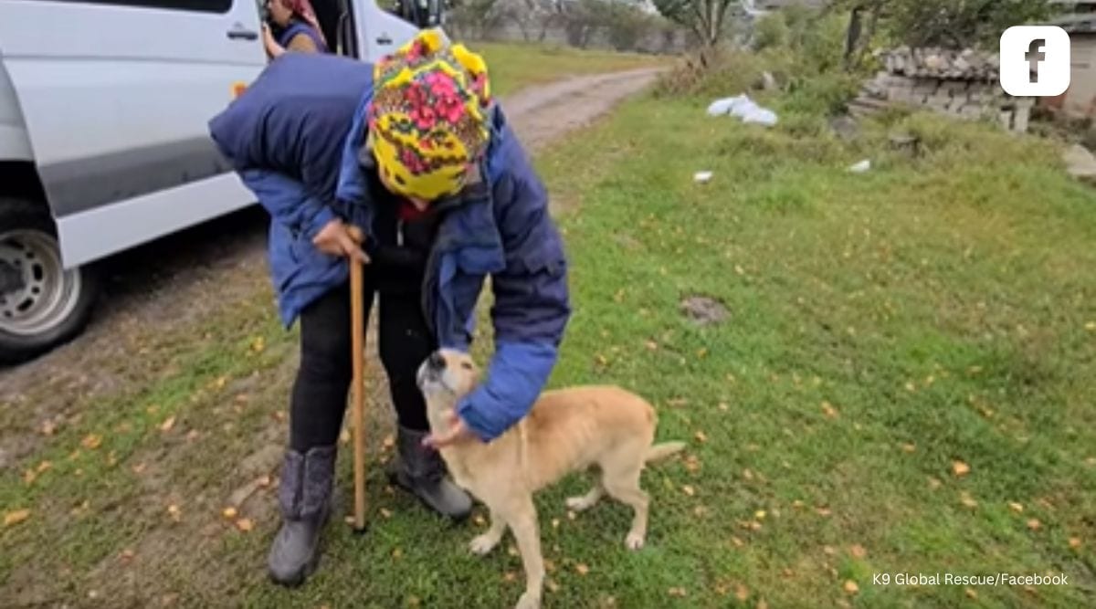 Ukrainian woman struggles to rein in emotions as rescue team reunites