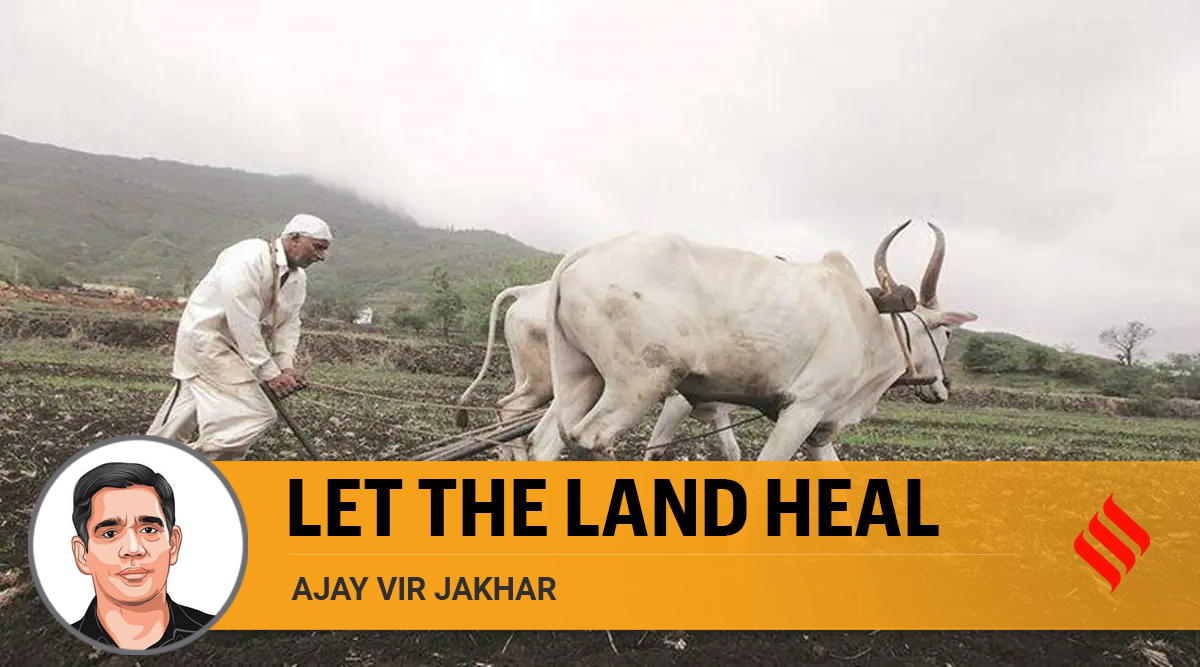 Let The Land  Heal