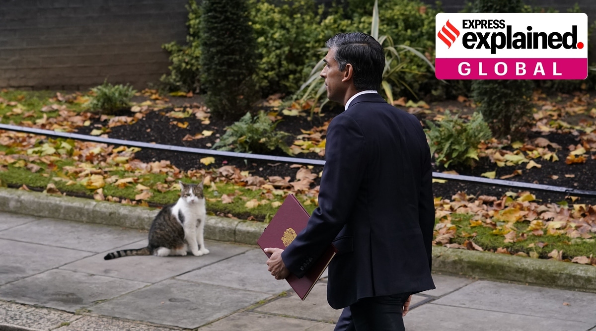 Larry, Chief Mouser to the Cabinet Office, watches Rishi Sunak, his fifth Prime Minister since 2011, enter No. 10 on Tuesday. (AP Photo)