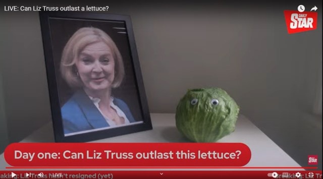 The tabloid Daily Star set up a live feed of an unrefrigerated iceberg next to a photo of Truss. (YouTube/ Daily Star)