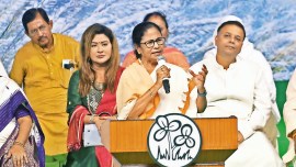 Mamata Banerjee, Mahatma Gandhi, kolkata durga puja gandhiji asura, West Bengal, Kolkata, West Bengal news, Kolkata news, India news, Indian Express News Service, Express News Service, Express News, Indian Express News