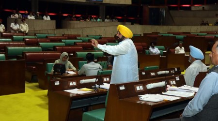 Mann also thanked the Central government for naming Chandigarh International Airport (at Mohali) after Bhagat Singh. (Express photo by Kamleshwar Singh)