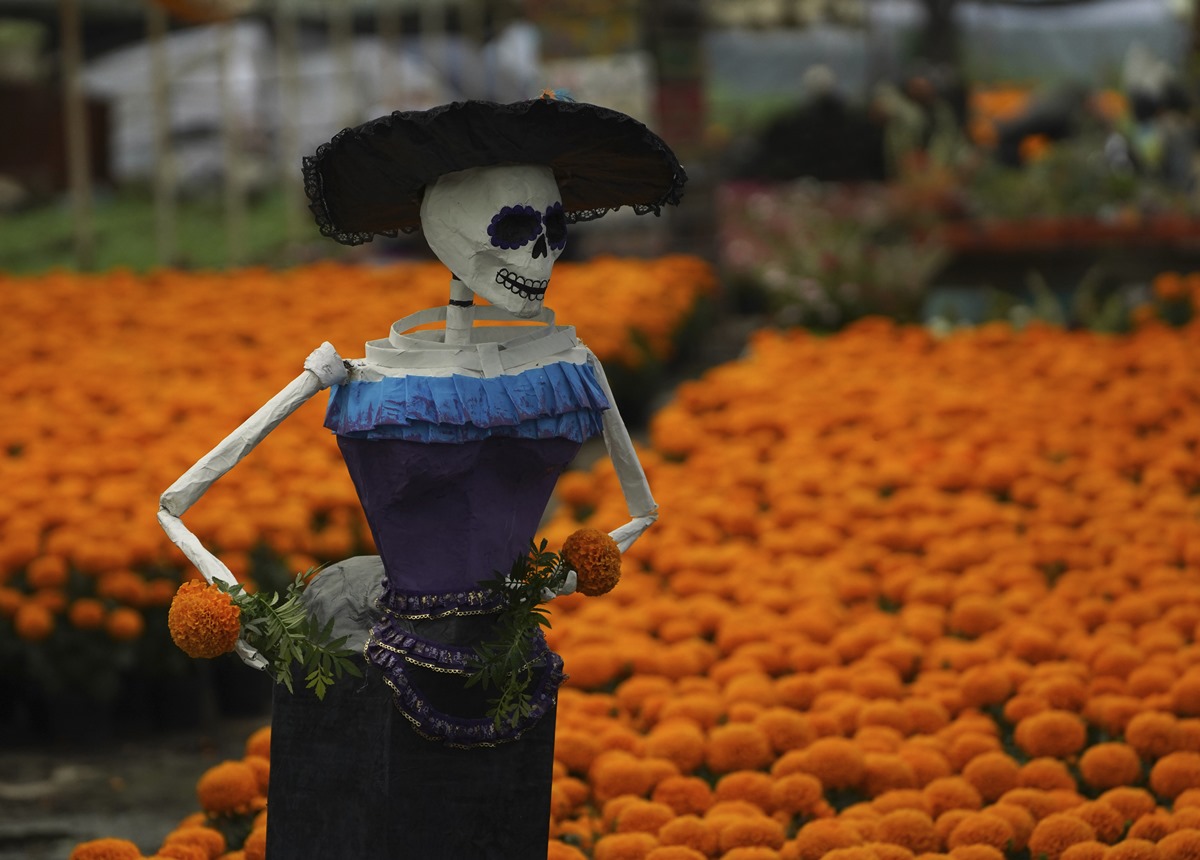 day of the dead, day of the dead celebrations, day of the dead photos