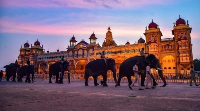 Jamboo Savari (elephant procession), the grand finale of Mysuru Dasara festivities is all set to start. (Twitter / Dr. Murugesh R Nirani)