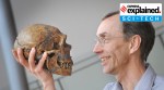 Swedish geneticist Svante Paabo holds a skull