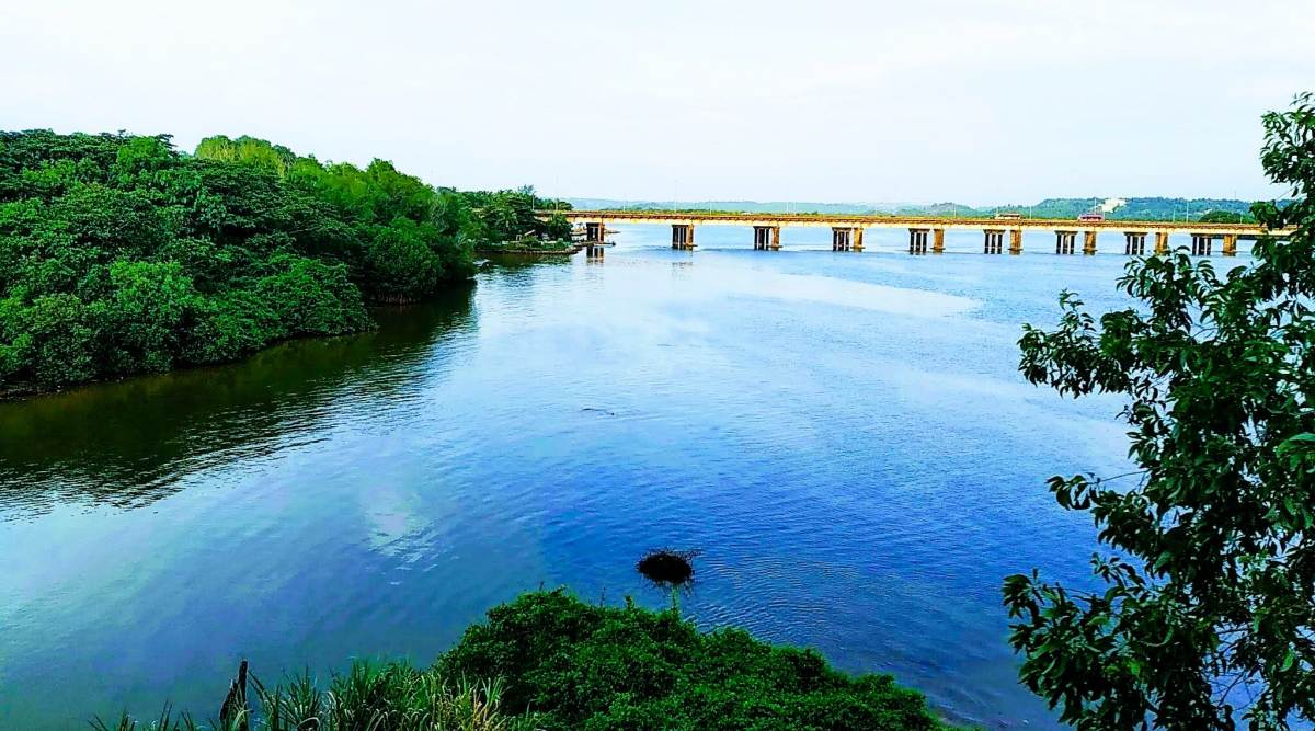 Netravati Island Conservation Reserve is one of the areas notified by SBWL as protected. (Photo: Wikimedia Commons/ Divya Jose T)
