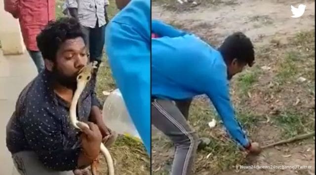 Man tries to kiss snake, gets bitten on lips in Karnataka; Watch video ...