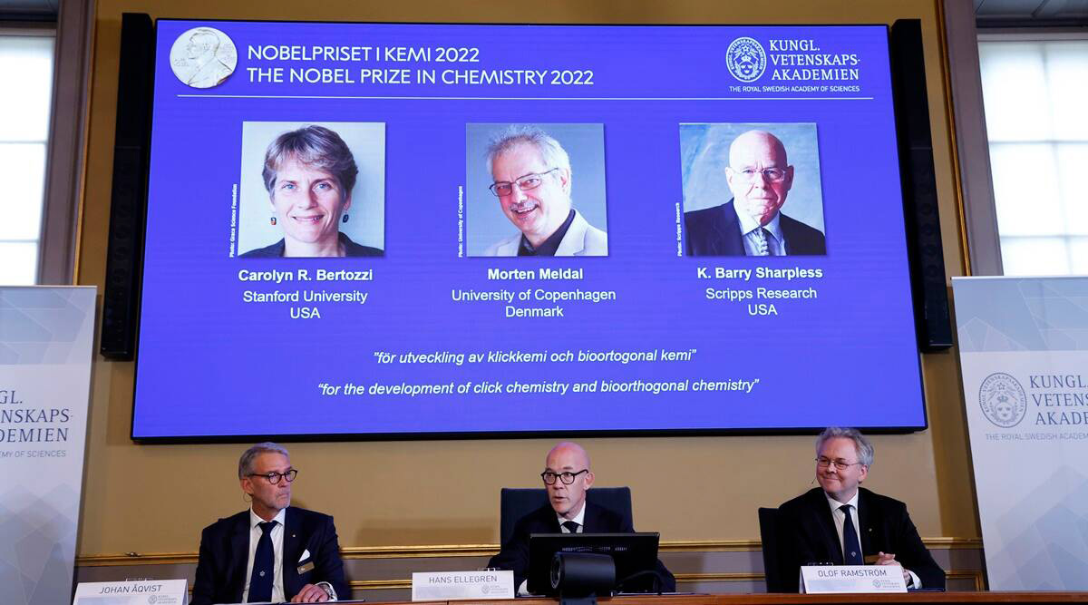 Nobel prize goes to pioneers of Lego-like ‘click chemistry’