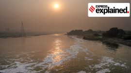 A view of the rising sun on Chhath Pooja over the Yamuna river with white, toxic foam on the river surface.