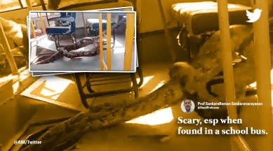 python in school bus, python in Rae Bareli, snake in school bus, Uttar Pradesh, Rae Bareli, python video, python rescue, indian express