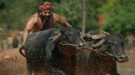 Rishab Shetty in Kantara