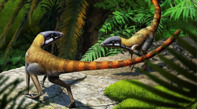 An artist's life reconstruction of the Triassic Period reptile Scleromochlus taylori