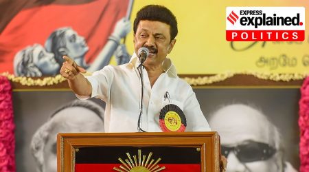 Tamil Nadu Chief Minister MK Stalin addresses the party's General Council Meeting, in Chennai, Sunday, Oct. 9, 2022. (PTI Photo/File)