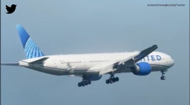 snake on plane, snake on united airlines flight, passengers find snake on plane, Florida, snake, indian express