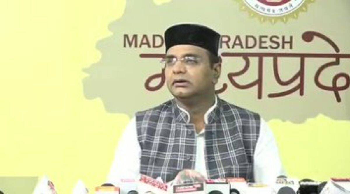 Vishvas Sarang was addressing BJP workers in Ambaji town of Banaskantha district of Gujarat, 215 kilometres from Ahmedabad. (File)
