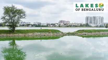 Lakes of Bengaluru: Sarakki Lake, a restoration success story worth  emulating