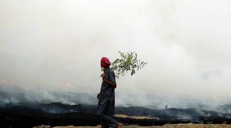 punjab, haryana news, haryana air quality news, indian express