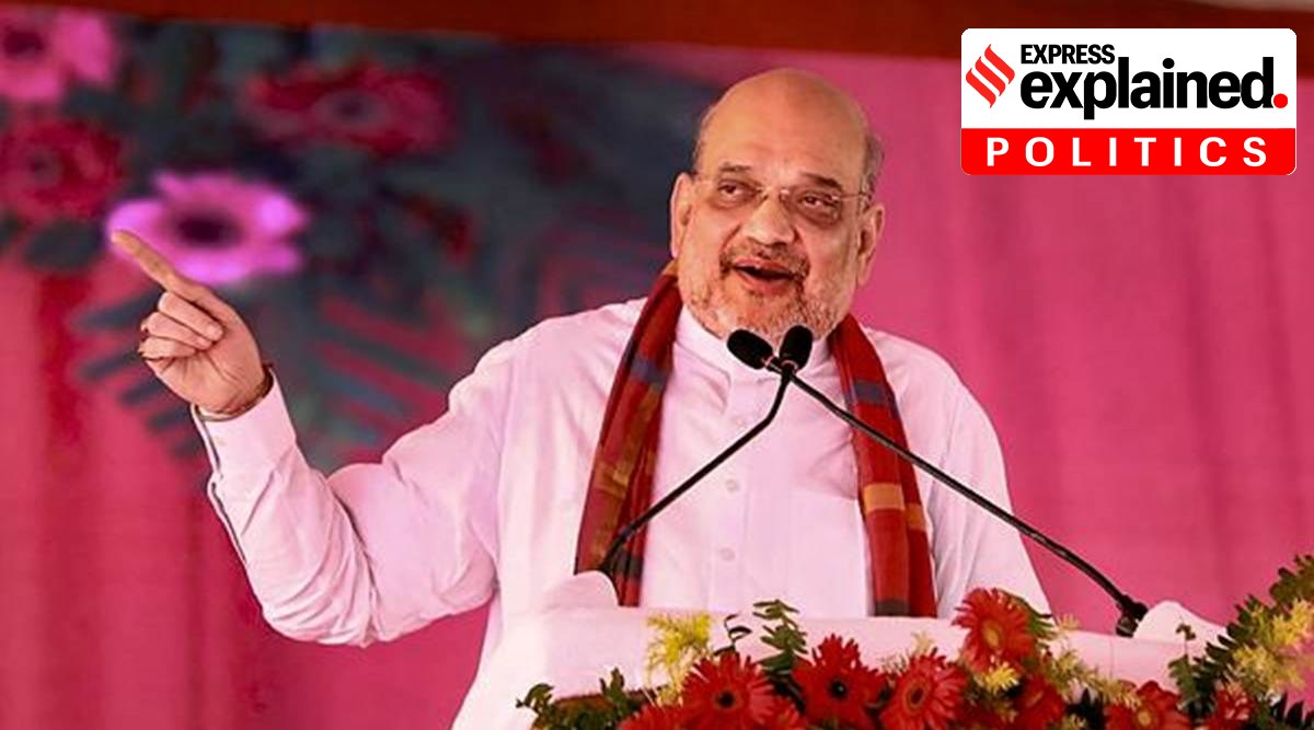 The Official Language Committee is headed by Home Minister Amit Shah. (PTI Photo/File)