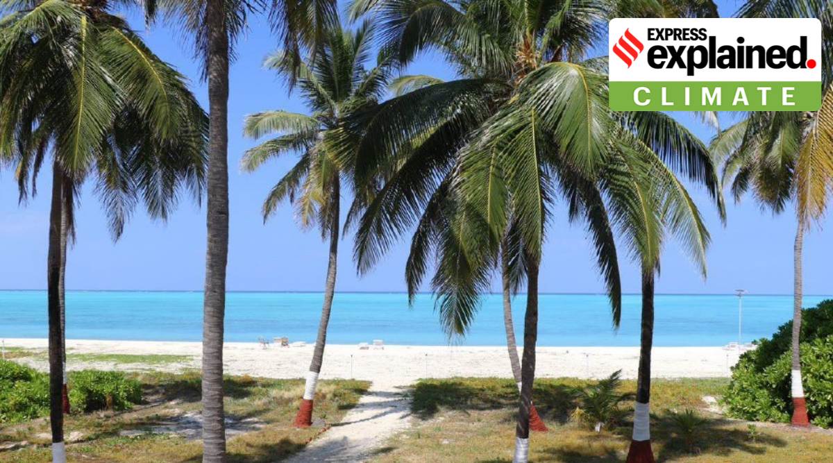 Two beaches in Lakshadweep has been given Blue Flag. (Photo: Twitter@Bhupendra Yadav)