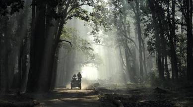 Jim Corbett