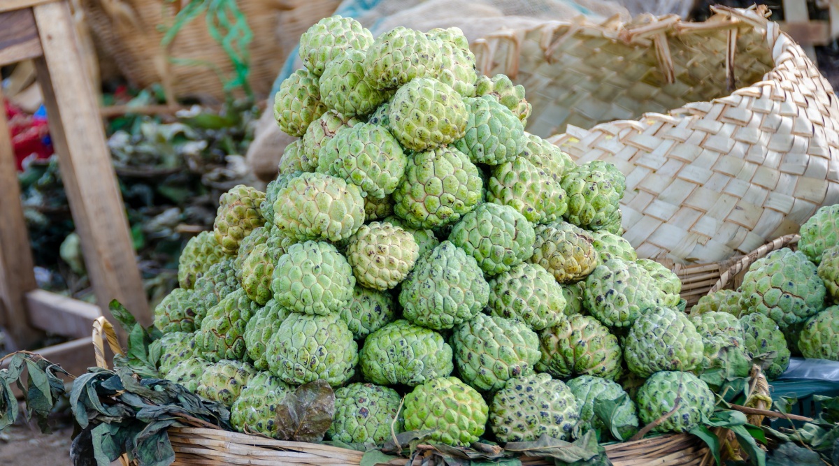 custard apple